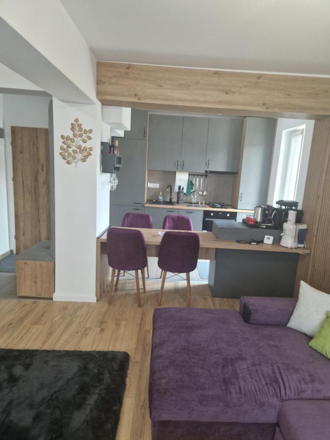 ブラショフCasa Movアパートメント エクステリア 写真